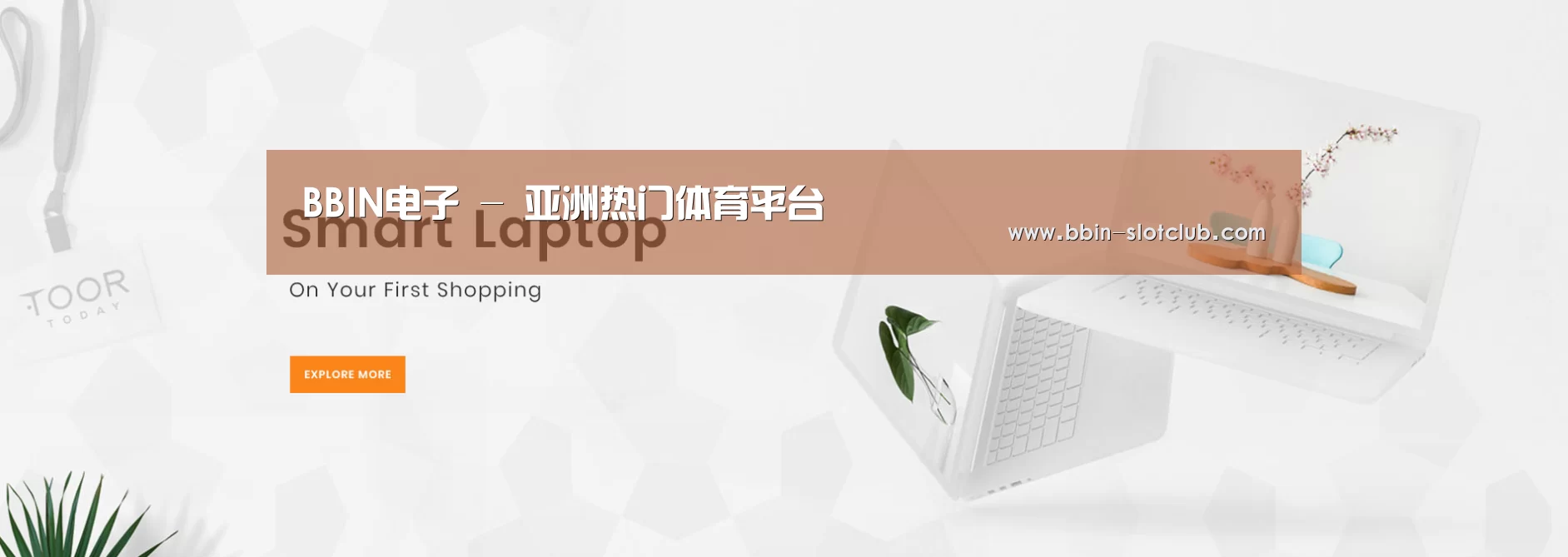 某某网络科技有限公司