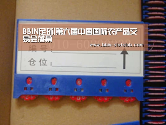 BBIN体育