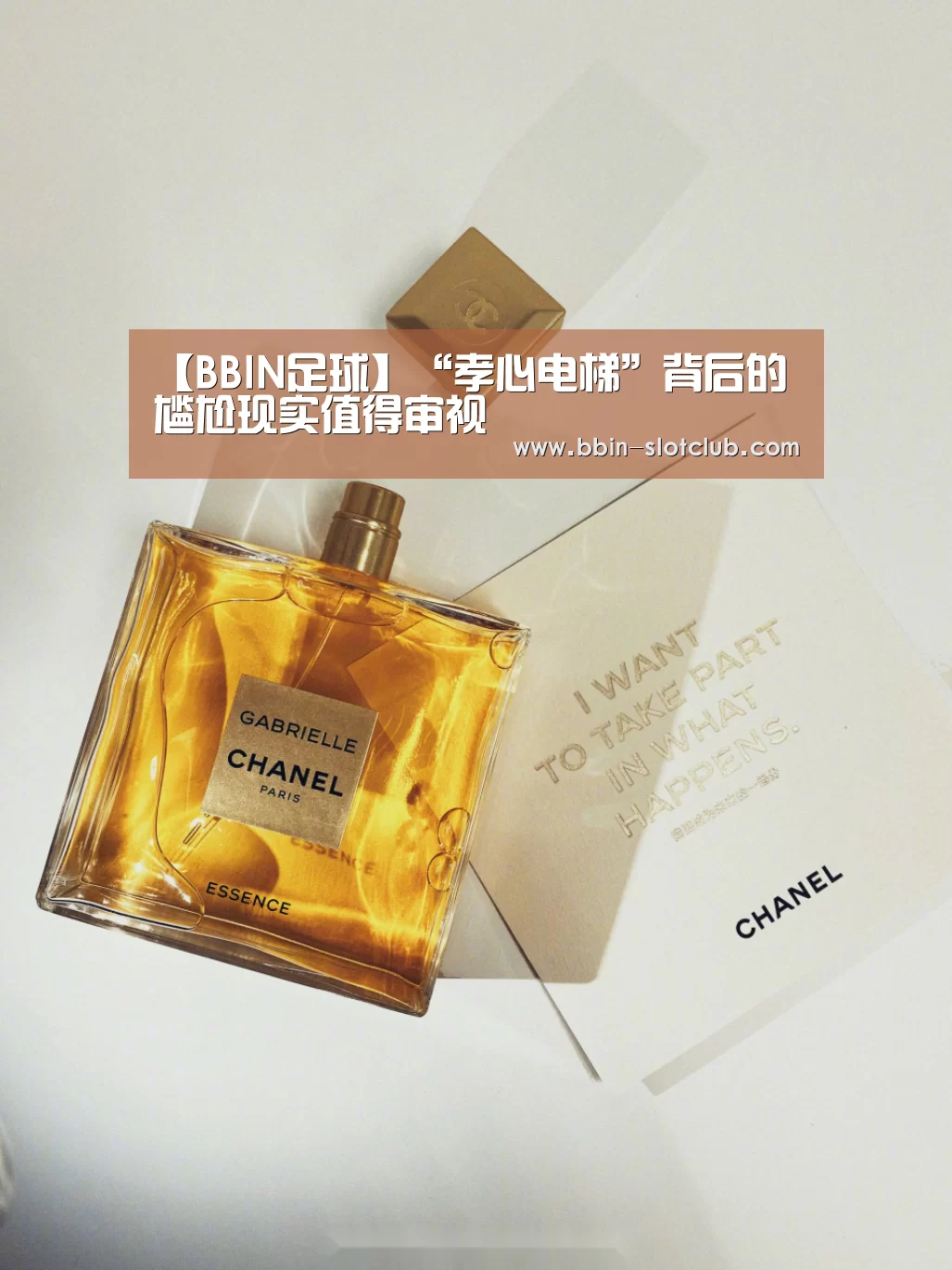 【BBIN足球】“孝心电梯”背后的尴尬现实值得审视(图3) BBIN体育