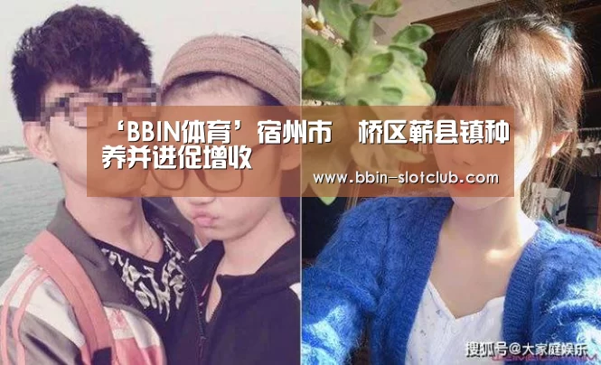 ‘BBIN体育’宿州市埇桥区蕲县镇种养并进促增收(图2) BBIN体育