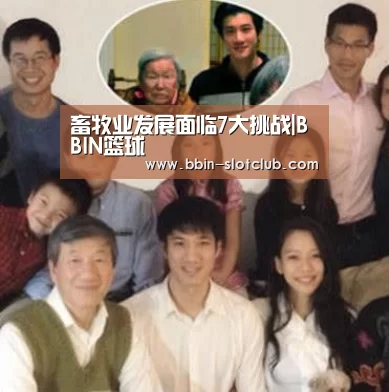 BBIN足球