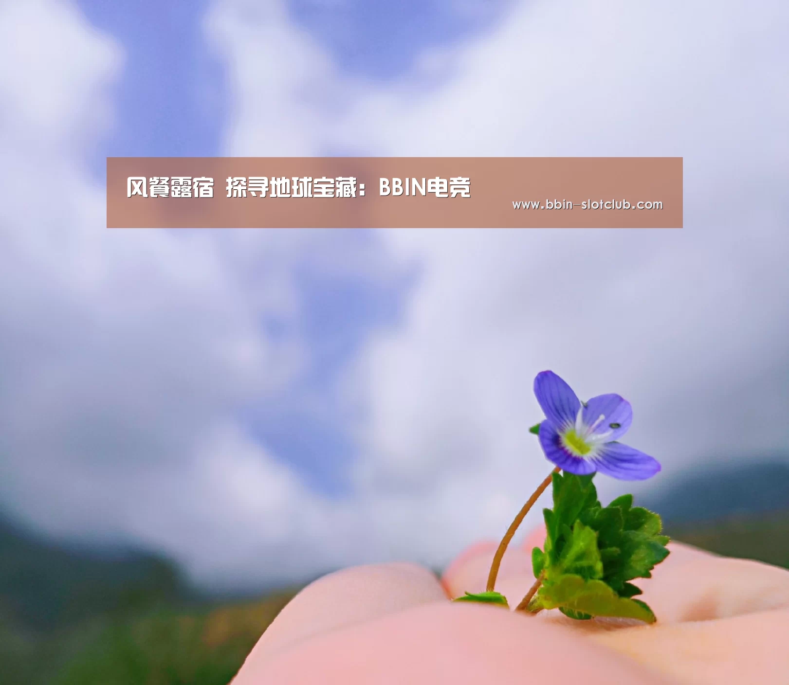 风餐露宿 探寻地球宝藏:BBIN电竞(图1) BBIN足球