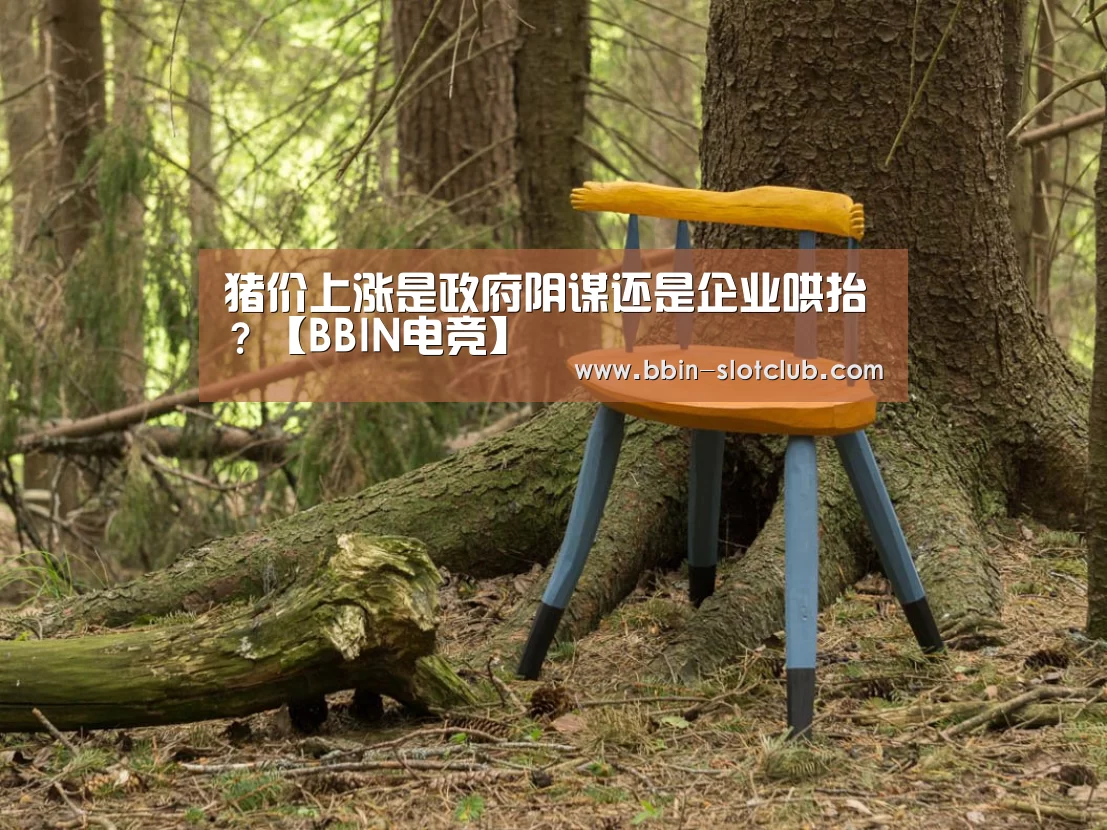 BBIN篮球