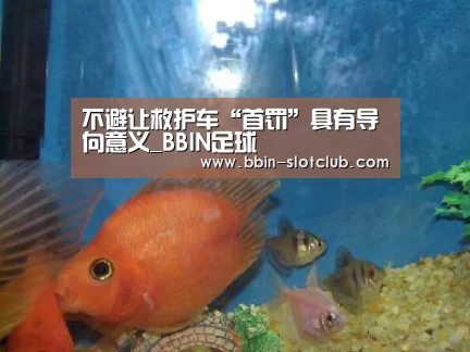不避让救护车“首罚”具有导向意义_BBIN足球(图4) BBIN篮球